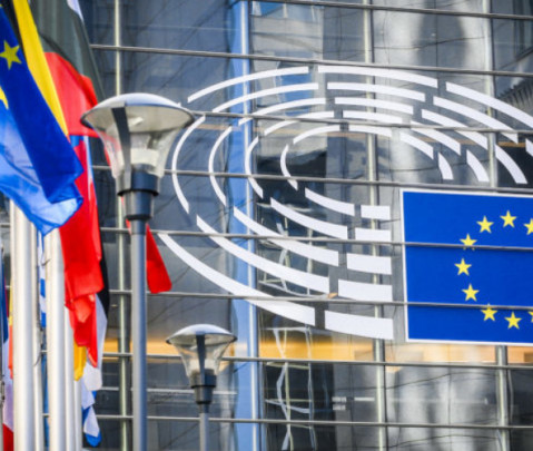 Die Ungarndeutschen und die Europäische Union