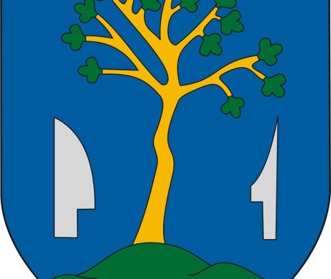 Erinnerungen eines Ungarndeutschen